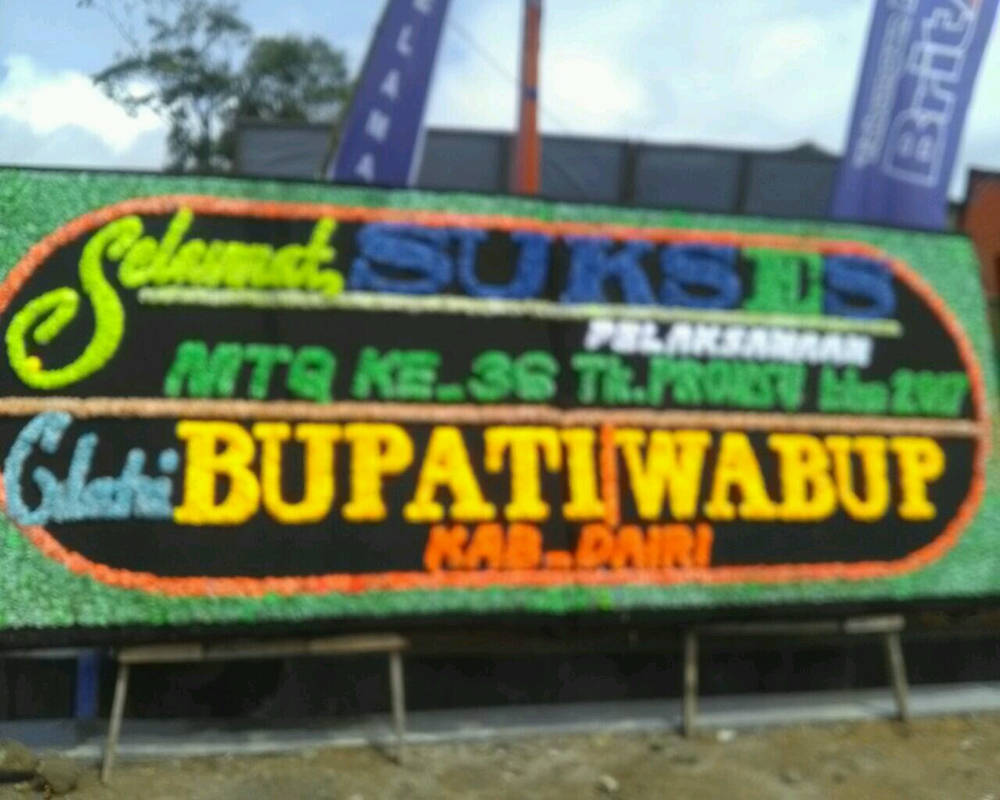 "bunga papan sidikalang"