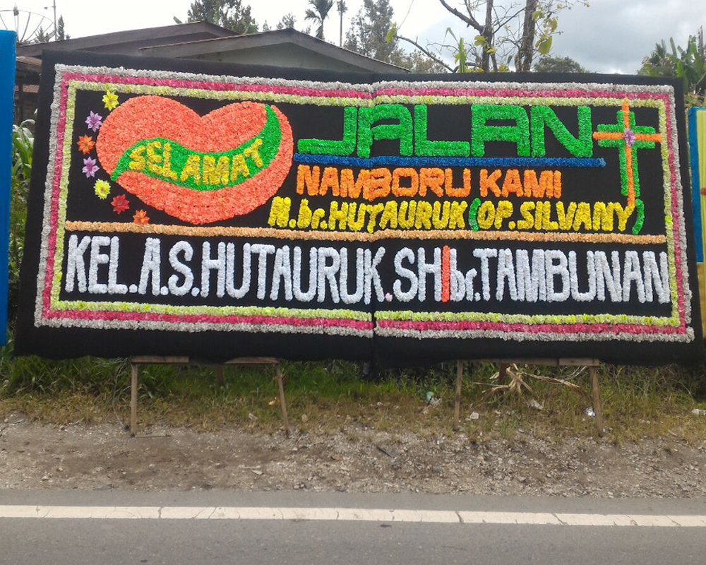 "bunga papan di sidikalang kab.dairi sumut"